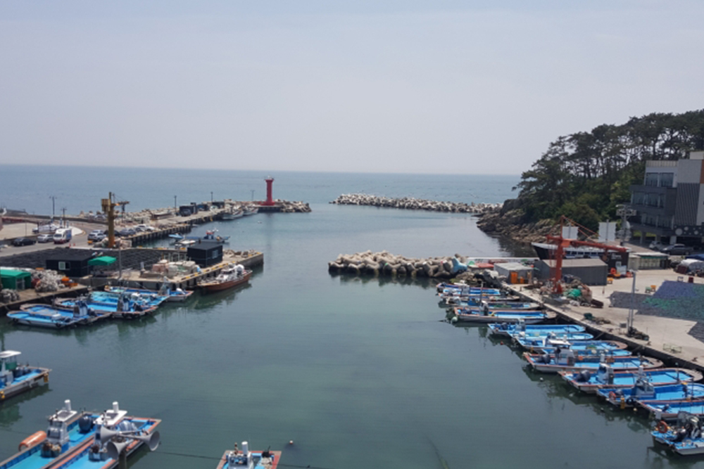 공수어촌체험마을