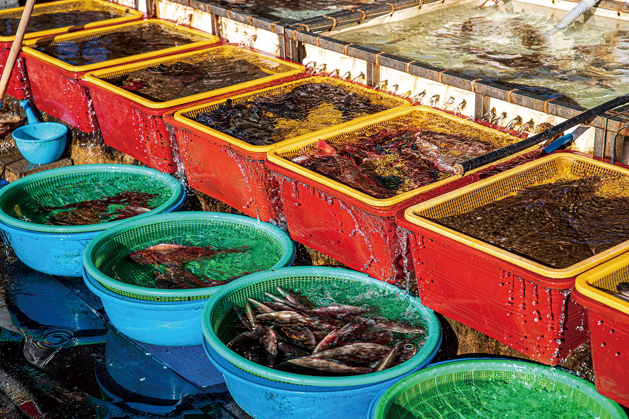 묵호항 활선어판매센터